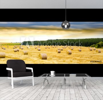 Picture of Panorama of Hay bale in sunrise sunlight golden light